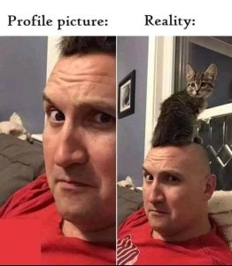 rsobczbqgzgf1