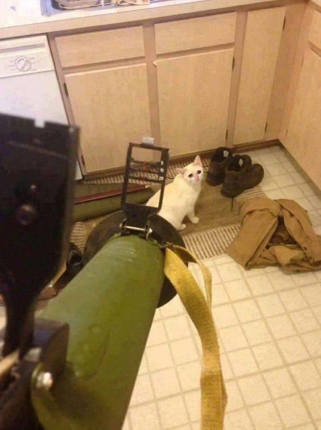 y54h8ryvzbhb1