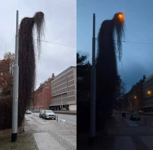 El horror
