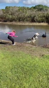 Hay gente que no tendría que tener perros (no de ese tamaño al menos)