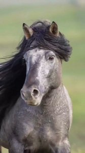 Porque yo lo valgo