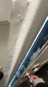 Noooo, mirá dónde te hicieron un nido!