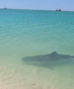 Tranqui la playa