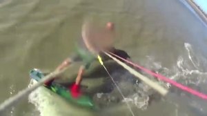 El perro se entusiasmó con el kite