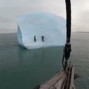 Como morir de la forma más estúpida posible...