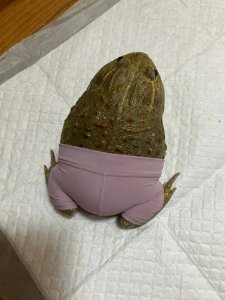 A vestirse