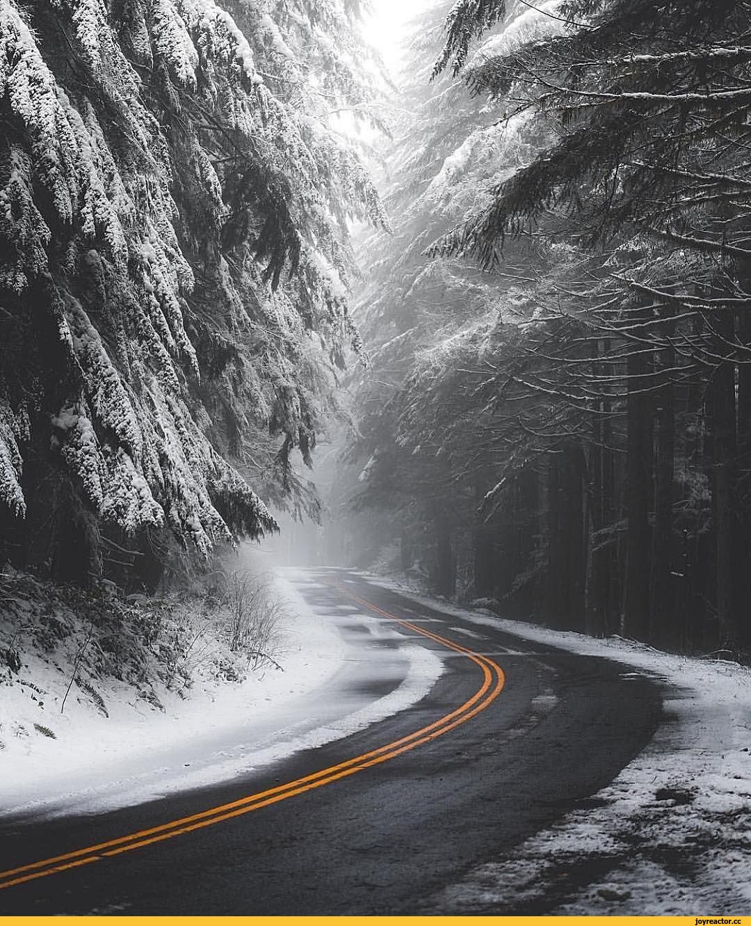 La ruta y la nieve