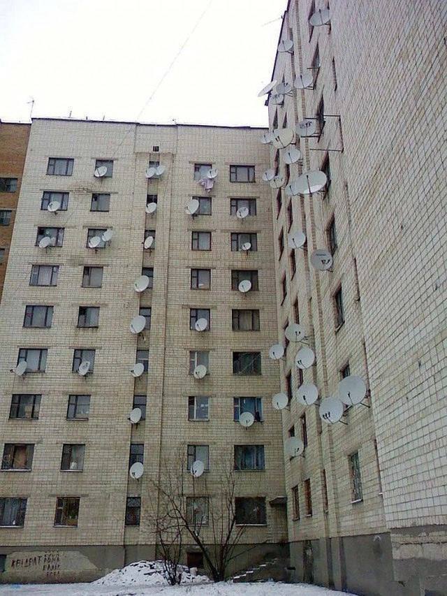 Satelital